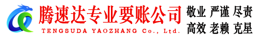 点军讨债公司